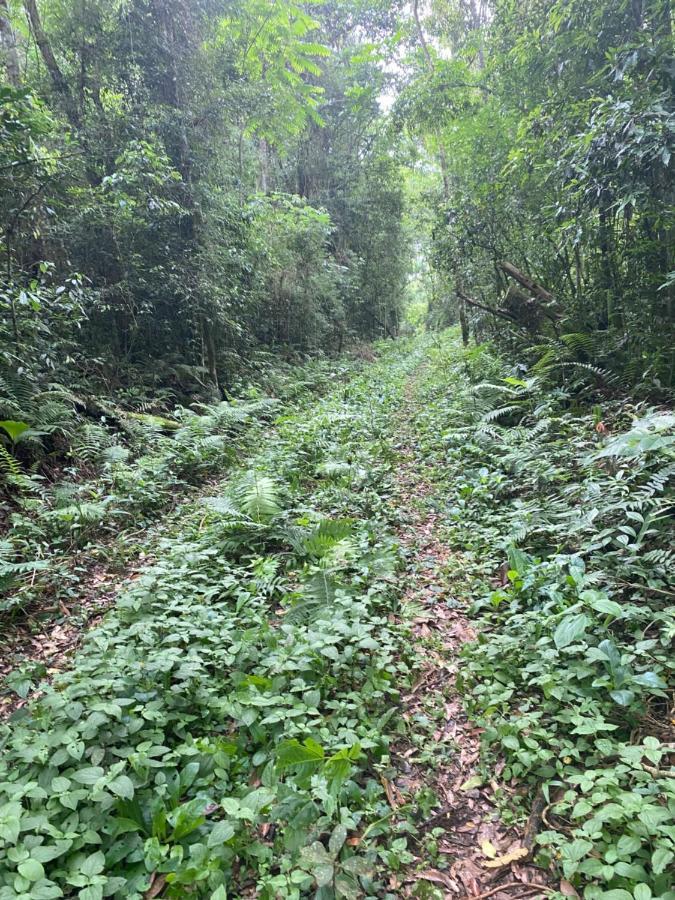 Reserva La Mision Mocona - Solo Adultos Saltos del Moconá 外观 照片