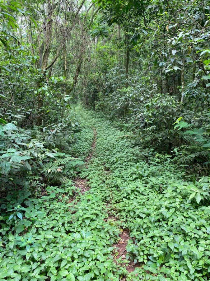 Reserva La Mision Mocona - Solo Adultos Saltos del Moconá 外观 照片