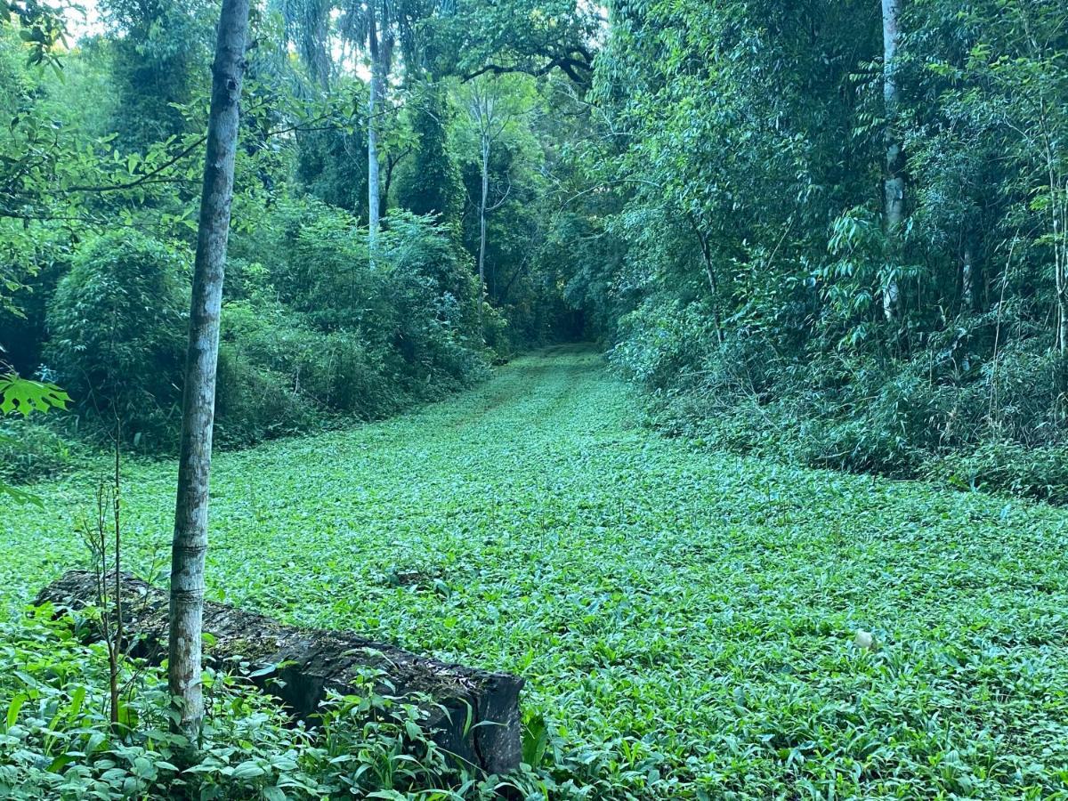 Reserva La Mision Mocona - Solo Adultos Saltos del Moconá 外观 照片